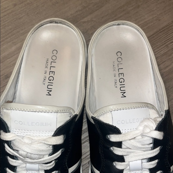 Collegium - Picture 3 of 12